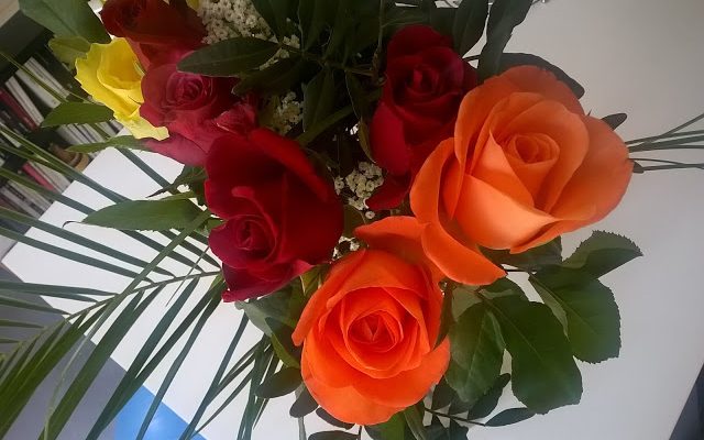 Lovely Things #17