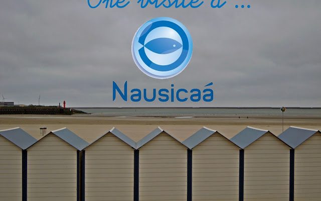 Carte postale #25 : Nausicaá