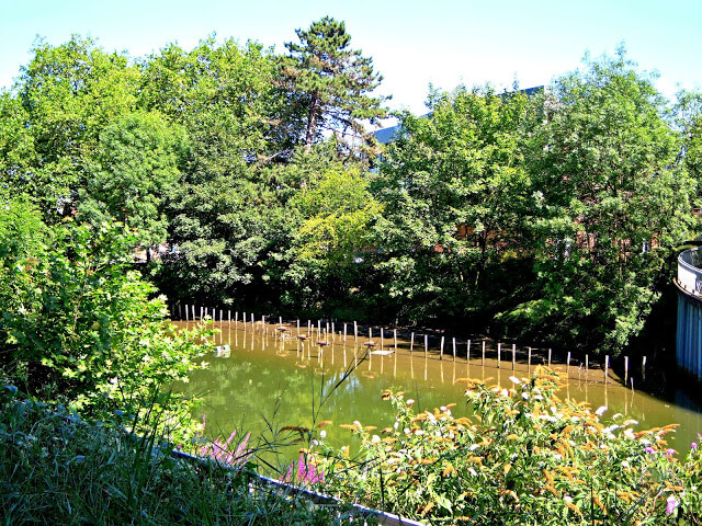 Carte postale #24: Douai