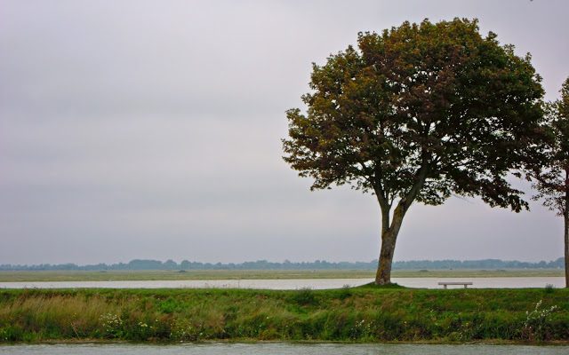 Carte Postale #31 : Saint-Valéry sur Somme/Pointe du Hourdel