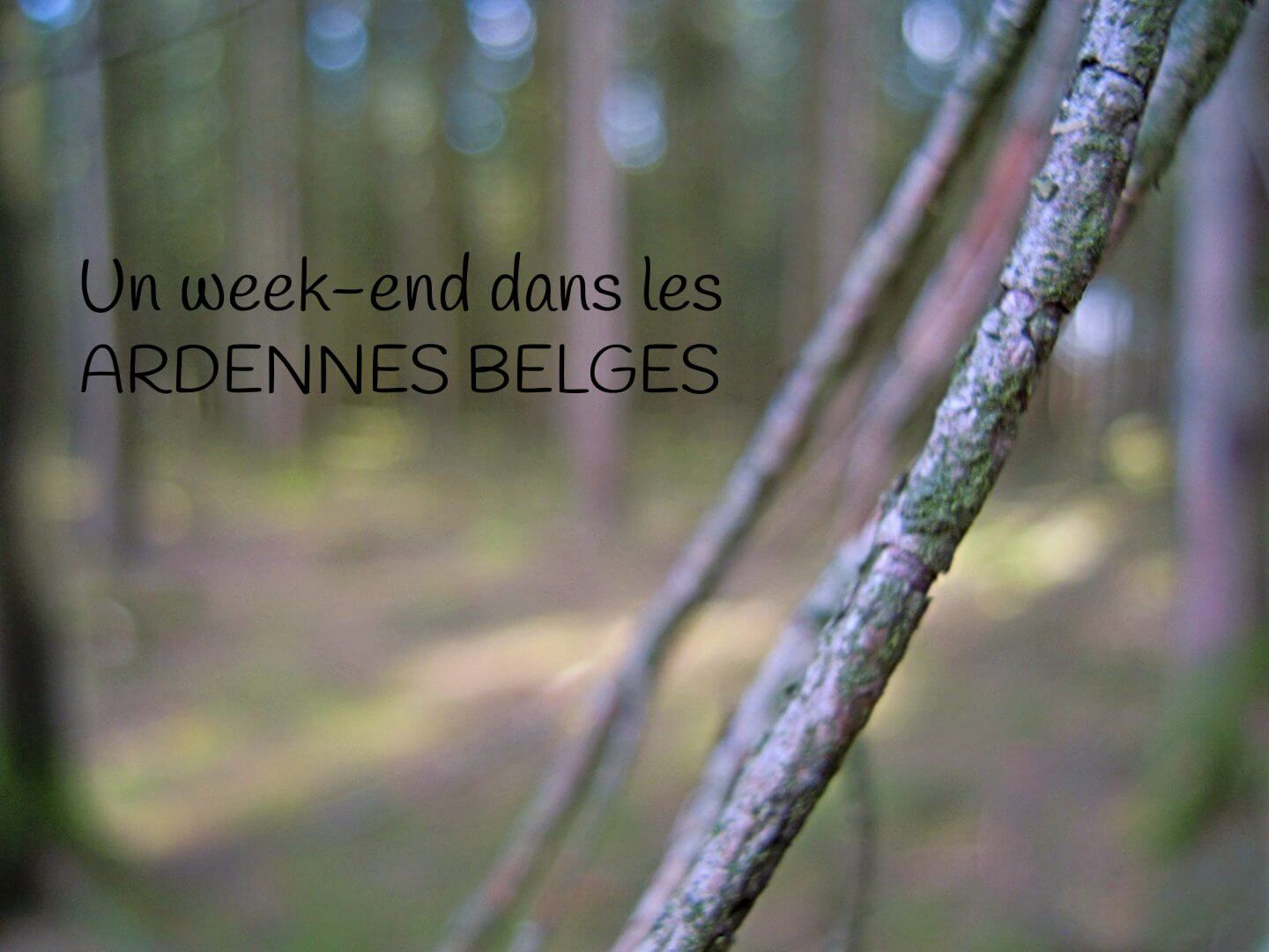 Carte Postale #37 : un week-end dans les Ardennes Belges