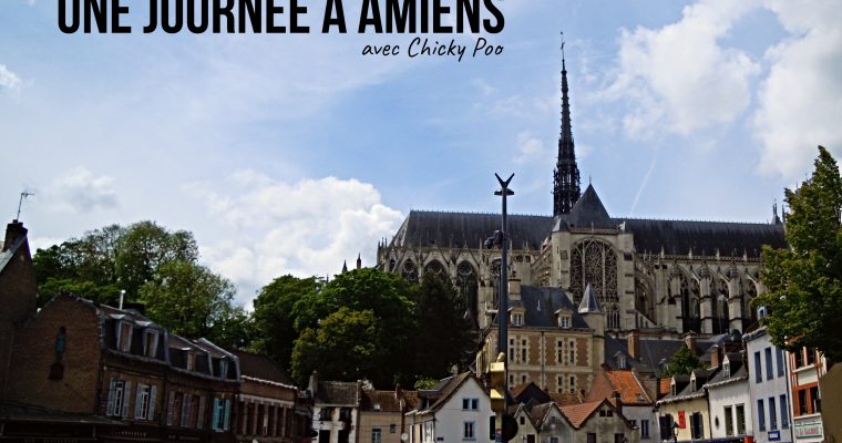 Carte postale #38 : une journée à Amiens