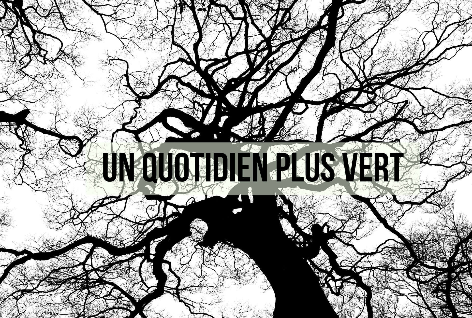 Un quotidien plus vert 2/3