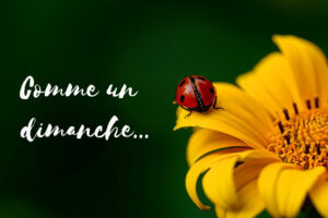 Comme un dimanche #64