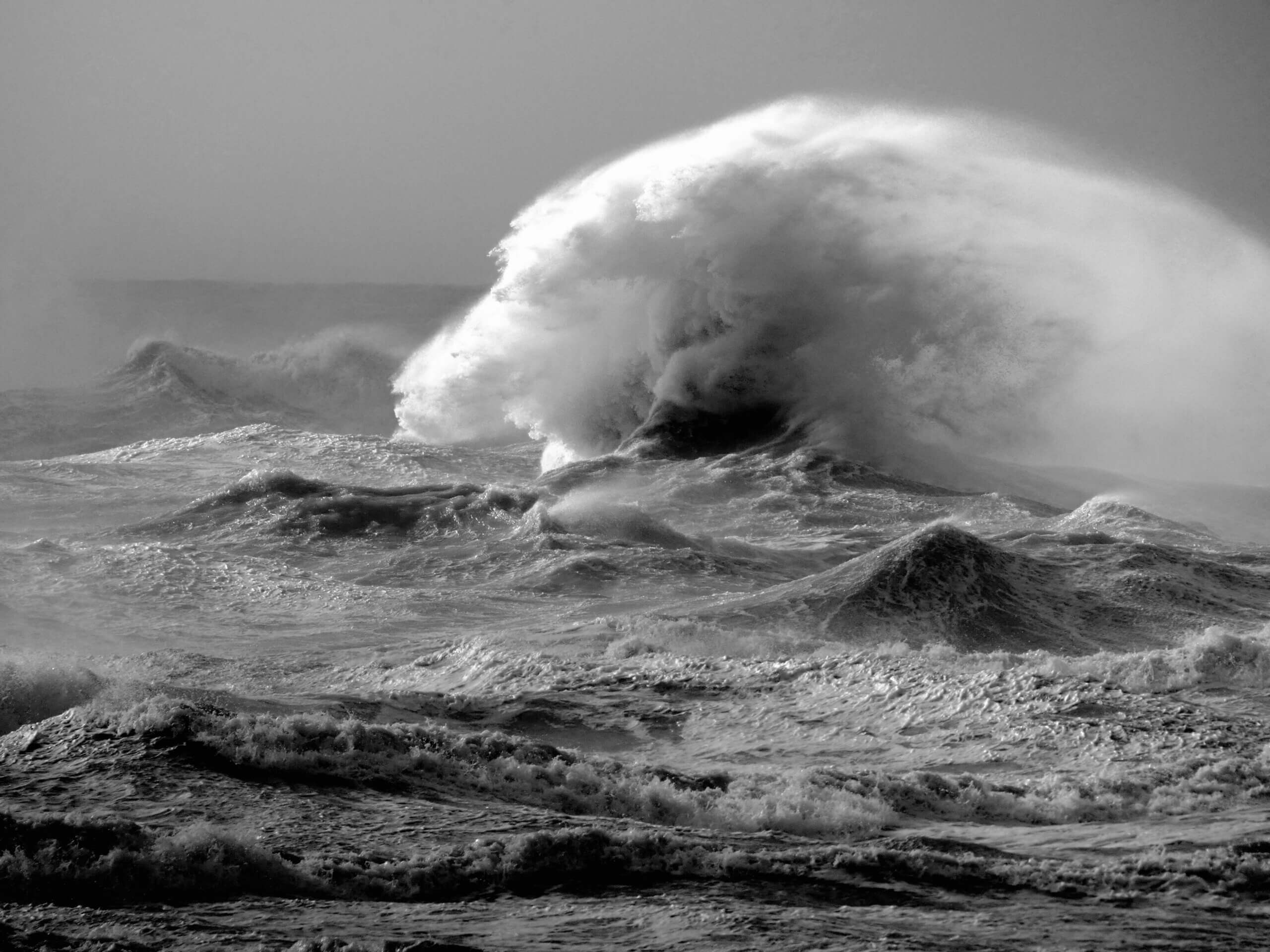 Plein gris, Marion Brunet