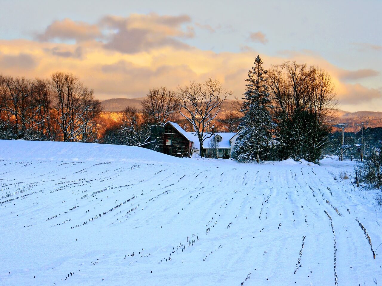 Retour à St-Mary Hill, Carine Pitocchi