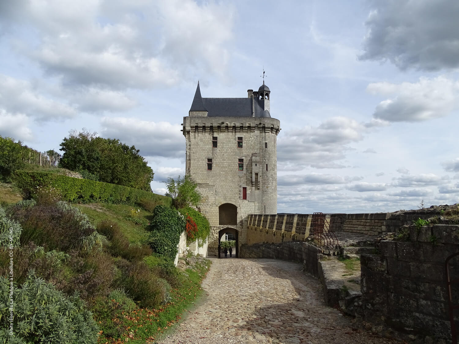 Carte postale #73 : Châteaux de la Loire 2/2