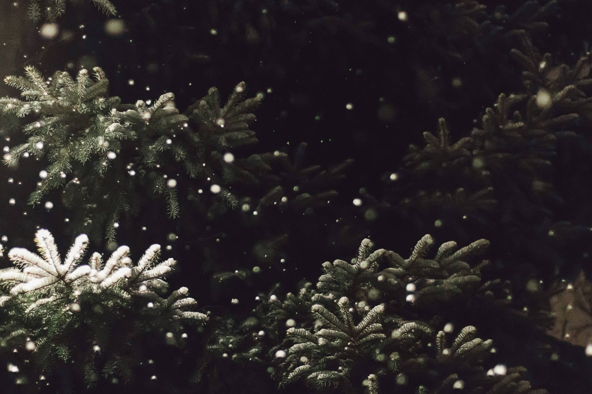 En route pour l’hiver #2