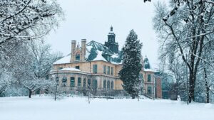 Murder-Party au Manoir, Carine Pitocchi